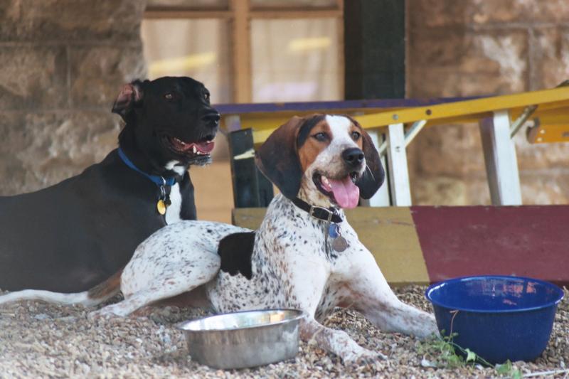 Learning and behaving are so much easier if you're healthy!