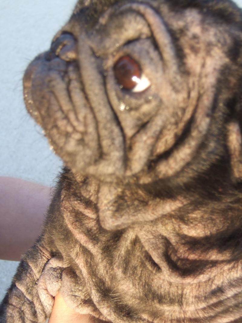 Annabelle March 2008